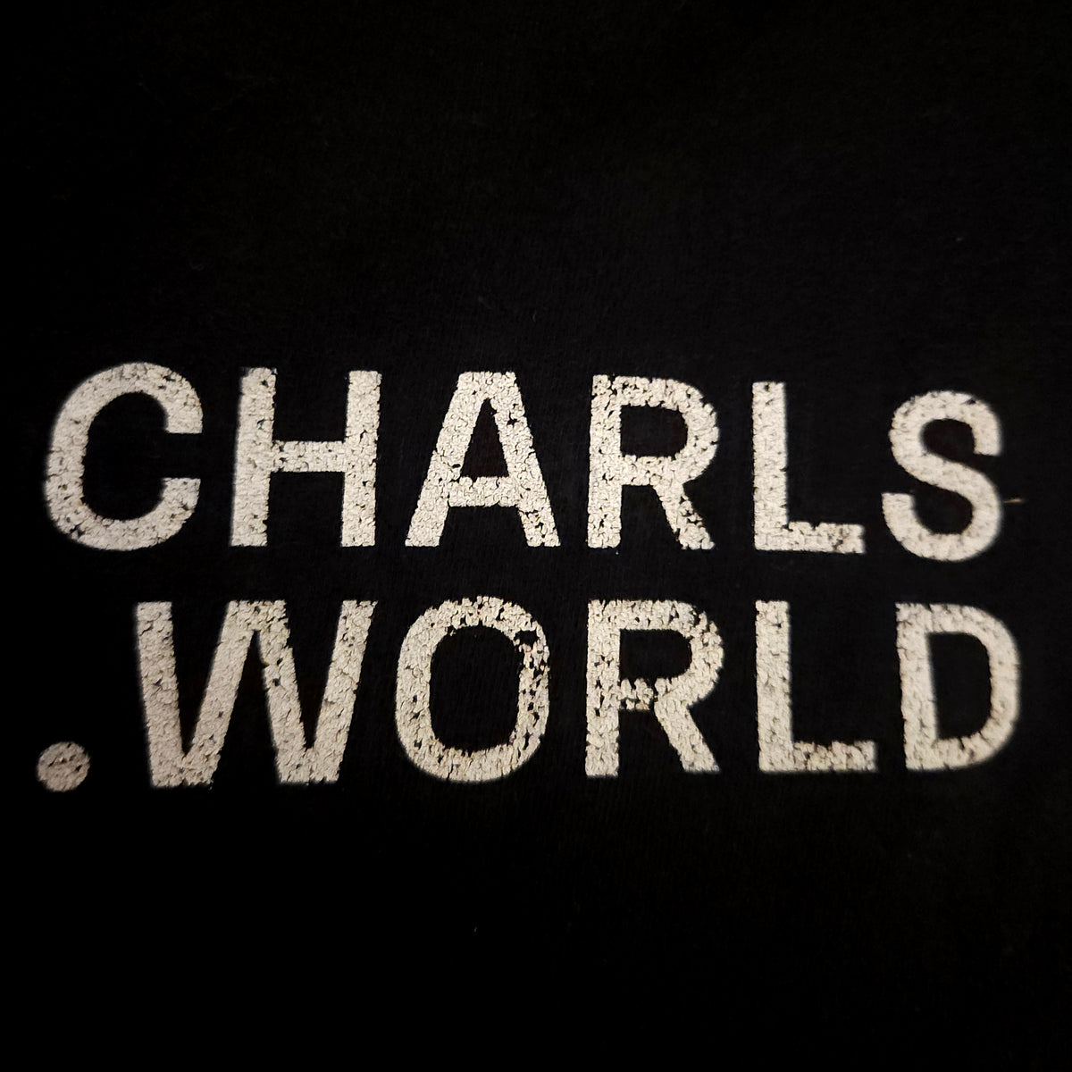 Charls World T-Shirt Large